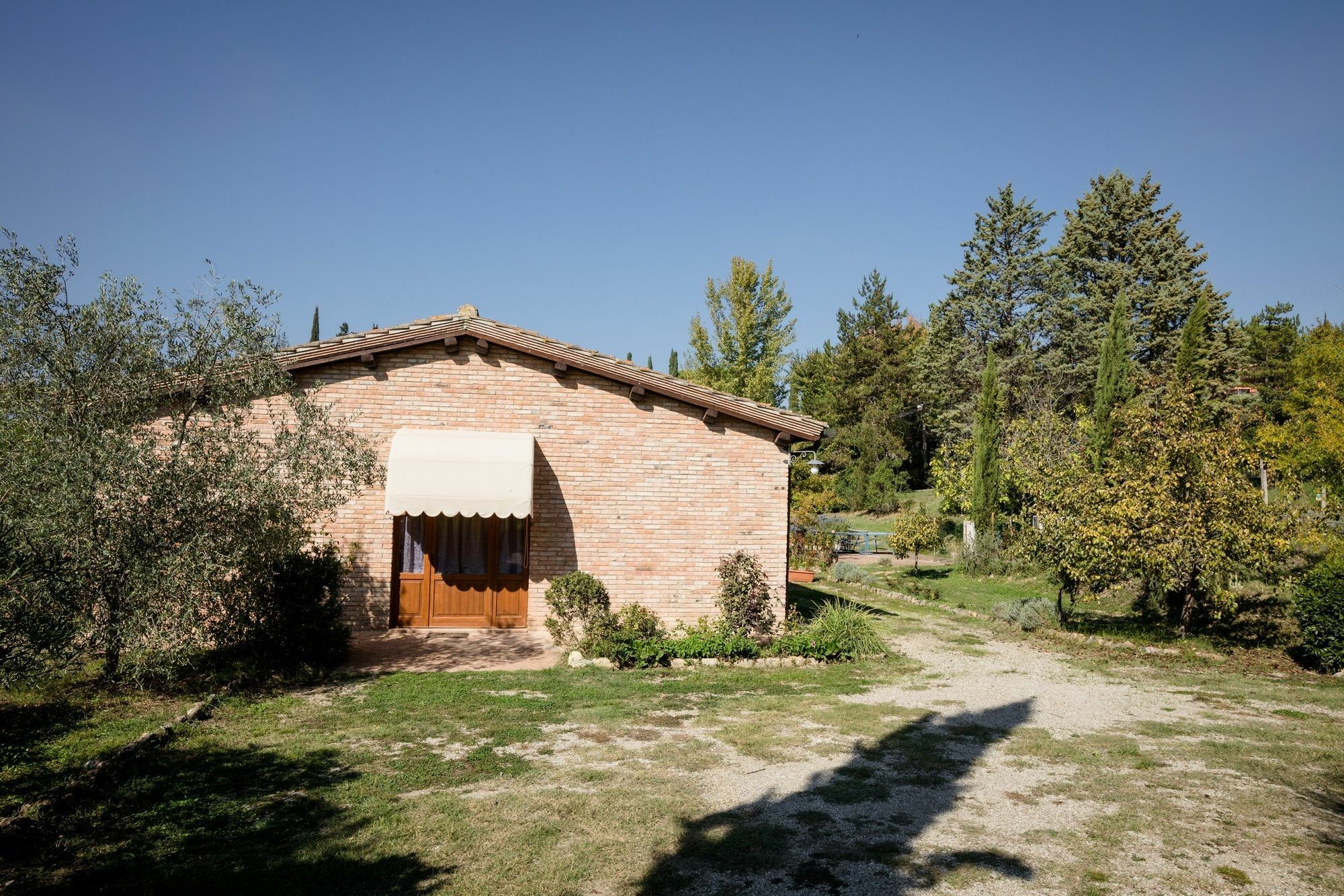 Fattoria Sant'Andrea - Farm Stay San Gimignano Exterior foto